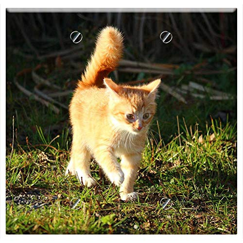 Double Blank Wall Plate Cover - Cat Kitten Cat Baby Young Cats Mackerel 1