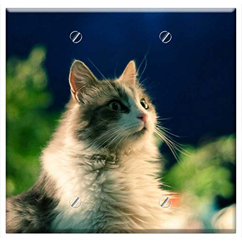 Double Blank Wall Plate Cover - Cat Animal Feline Pet Cats 3