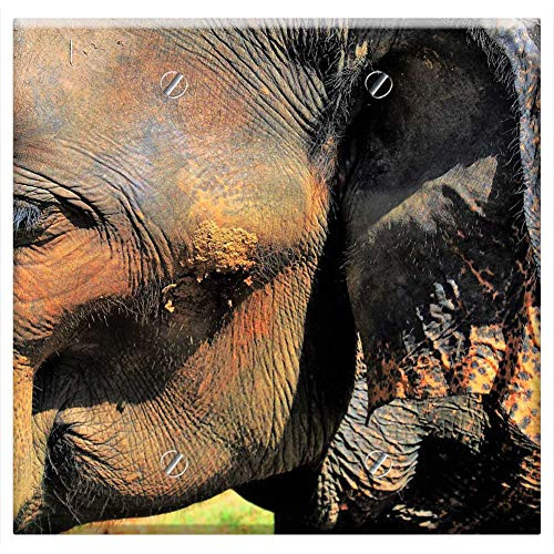 Double Blank Wall Plate Cover - Rough The Structure Of The Elephant Ears Large
