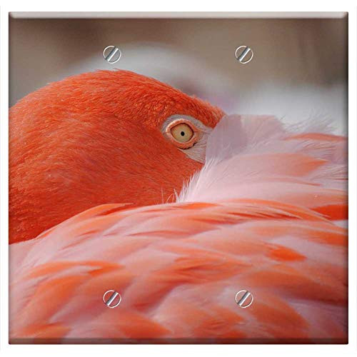Double Blank Wall Plate Cover - Flamingo Bird Birds Pink Feather Exotic Nature