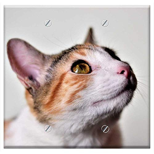 Double Blank Wall Plate Cover - Cats Animals Pets Pet Kitten Domestic Cat Eyes 2