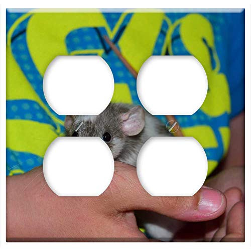 Double Duplex Outlet Wall Plate Cover - Rat Color Rat Animal Rodent Ears Head Hair