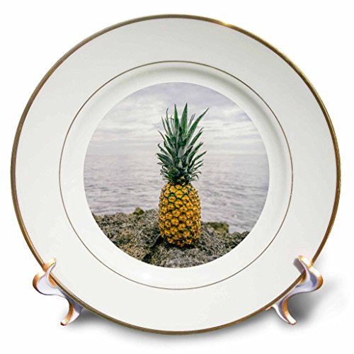 3D Rose Tropical Pineapple Set in a Circle Porcelain Plate, 8"