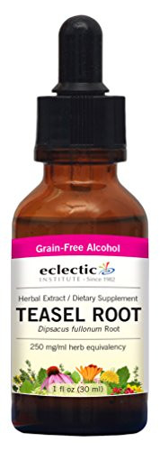 Eclectic Teasel Root Cog O Red 1 Fluid Ounce