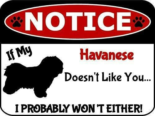 2 Count Top Shelf Novelties Notice If My Havanese Doesnt Like You I Wont Either Dog Notice Sign SP2920