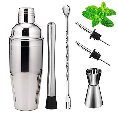 Cocktail Shaker Set 6 PieceAebor Stainless Steel Cocktail Shaker Set 25oz Martini Shaker Muddler Mixing Spoon Measuring Jigger 2 Liquor Pourers