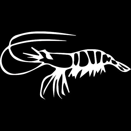 USC DECALS Realistic Shrimp  White   Set of 2  Premium Waterproof Vinyl Decal Stickers for Laptop Phone Accessory Helmet Car Window Bumper Mug Tuber Cup Door Wall Decoration