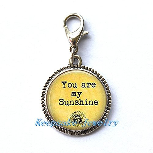 You Are My Sunshine Zipper PullPerfect for Necklaces Bracelets  keychain and earrings Charm You Are My Sunshine handmade Jewelry-nu203