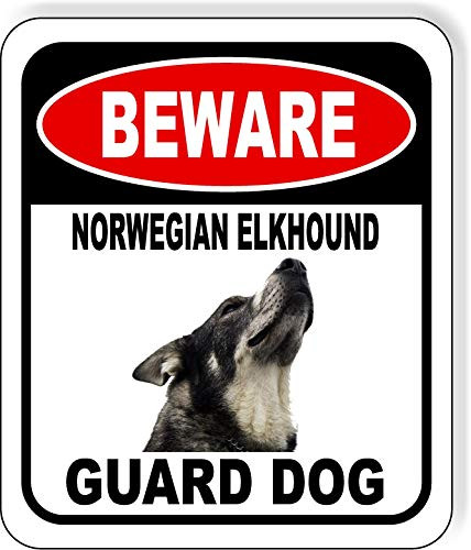 Beware Norwegian Elkhound Guard Dog Aluminum Composite Outdoor Sign 8.5 inch x10 inch