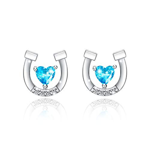 Hypoallergenic Horse Horseshoe Stud Earrings Silver Gifts for Girls Women Birthday Lucky Horse Jewelry for Horse Lovers Hypoallergenic Horse Horseshoe Stud Earrings Silver Gifts for Girls Women Birthday Lucky Horse Jewelry for Horse Lovers