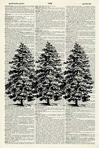 Fir Trees Art Print  Tree Illustration  Tree Art Print  Botanical Art Print Vintage Art Print  Botanical Picture - Vintage Dictionary Art Print - Book Page Print  Nature Artwork 1477D