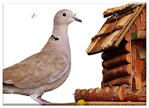 Triple Blank Wall Plate Cover - Dove Bird Food Aviary Feather Plumage Feeding 1