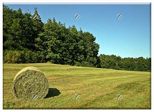 Triple Blank Wall Plate Cover - Hay Hay Bales Field Meadow Forest Triple Blank Wall Plate Cover - Hay Hay Bales Field Meadow Forest