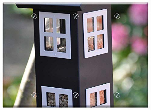 Triple Blank Wall Plate Cover - Bird Food Foderhus Bird Feed Have Compound Board