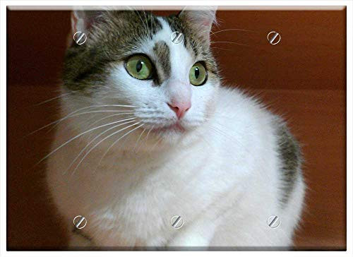 Triple Blank Wall Plate Cover - Cat Cute Cat Eyes Kitten Kitty Feline Pet