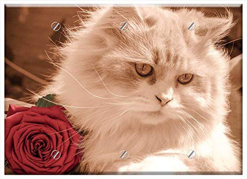 Triple Blank Wall Plate Cover - Kitten Cat Rose Pet Feline Kitty