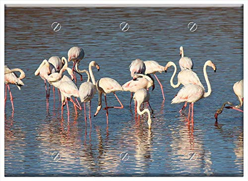 Triple Blank Wall Plate Cover - Flamingo Bird Pink Beak Pink Flamingo Feathers