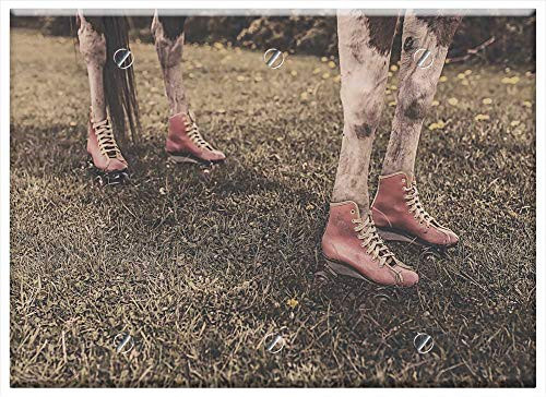 Triple Blank Wall Plate Cover - Horseshoes Horse Shoes Legs Feet Farm Animal Fun