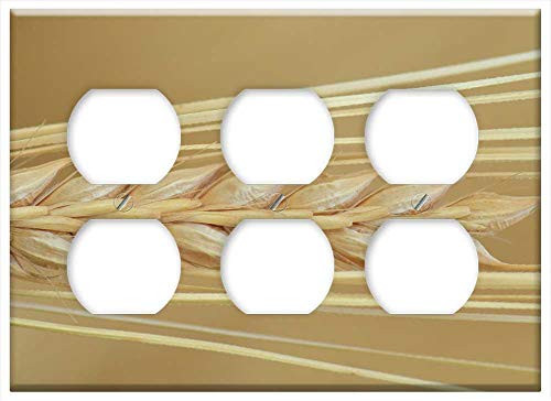 Triple Duplex Outlet Wall Plate Cover - Barley Close Ear Cereals Grain Nourishing Barley