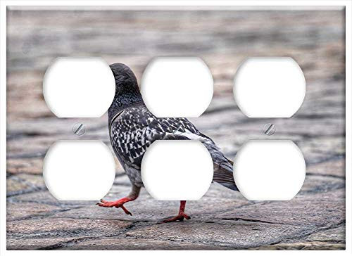 Triple Duplex Outlet Wall Plate Cover - Dove Animal Bird Pigeon Nature Wing Feather