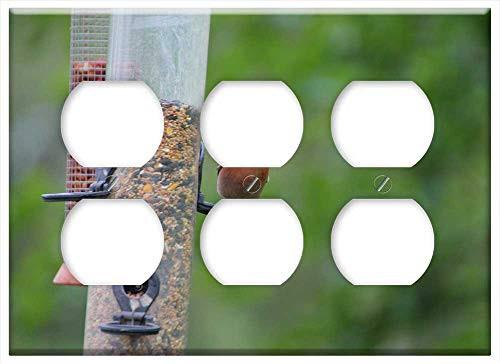 Triple Duplex Outlet Wall Plate Cover - Bird Feed Feeding Nature Animal Food Hungry