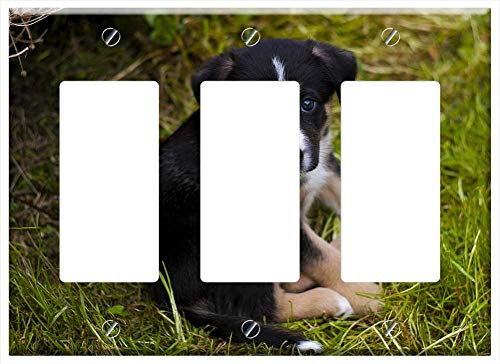 Switch Plate Triple Rocker GFCI - Puppy Dog Cute Canine Pet Garden Doggy 1