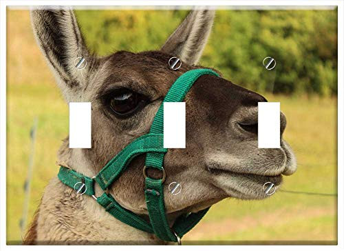 Switch Plate Triple Toggle - Lama Meadow Animal Nature Landscape Ears Eyes