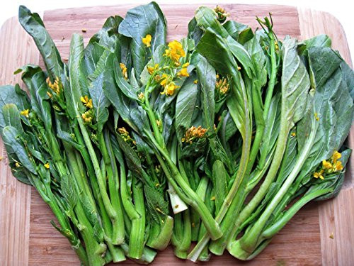 PAPCOOL Mustard S??ds for Pl?nting - Yu Choi Sum Choy Sum S??ds  200 S??ds