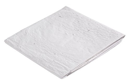 Fox Valley Traders Butterfly and Hummingbird Roll Out Seed Mat