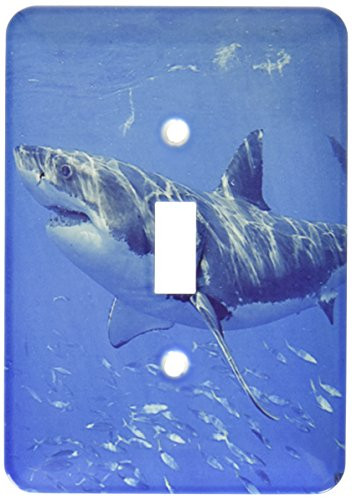 3dRose LLC lsp_10583_1 Great White Shark, Single Toggle Switch