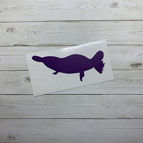Platypus Vinyl Stickers Decal Animal Decorations Zoo Animal Party Supplies Jungle Theme Platypus Decal Sticker Glitter Metallic Holographic