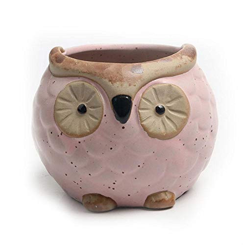Casol Planting Pot Cute Owl Shape Ceramic Planter Pot Ceramic Flower and Plant Container with Drainage Hole Multipurpose Bonsai Plant Vase Creative Cactus Flower Pot