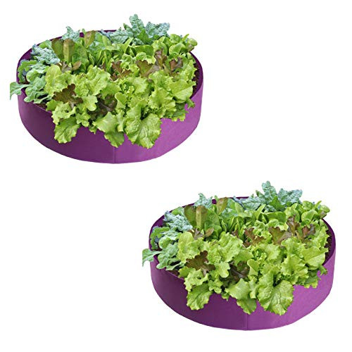 Firlar 2 Pack Fabric Raised Garden Bed 15 Gallon Grow Bag Planting Bed Round Raised Planter Garden Bed Bag Planter Container for Plants Herb Flowers and Vegetables Purple Firlar 2 Pack Fabric Raised Garden Bed 15 Gallon Grow Bag Planting Bed Round Raised Planter Garden Bed Bag Planter Container for Plants Herb Flowers and Vegetables Purple