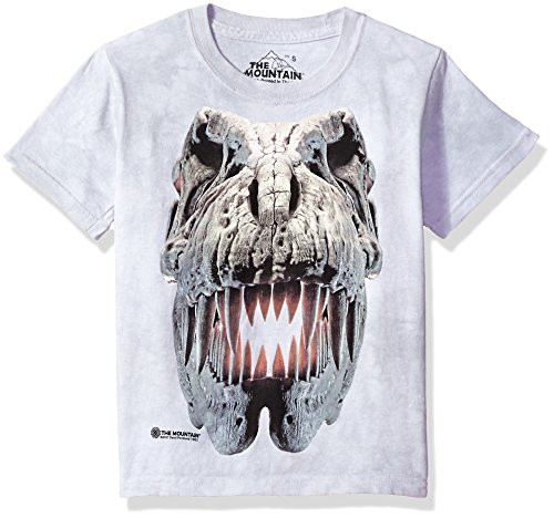 The Mountain Silver Rex Skull Child T-Shirt Grey Large