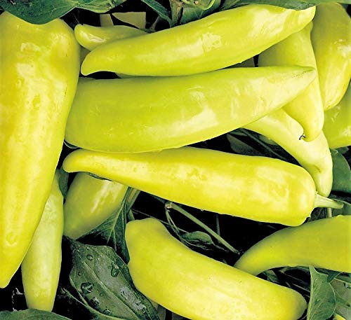 Hungarian Hot Wax Pepper Seeds