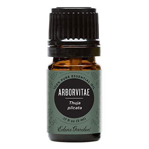 Edens Garden Arborvitae Essential Oil 100 percent Pure Therapeutic Grade 5 ml Edens Garden Arborvitae Essential Oil 100 percent Pure Therapeutic Grade 5 ml