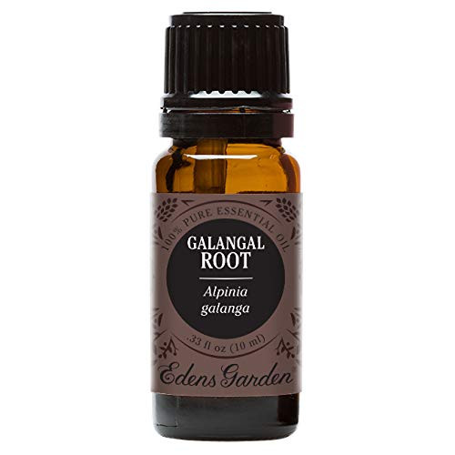 Edens Garden Galangal Root Essential Oil 100 percent Pure Therapeutic Grade Cold Flu and Sleep 10 ml Edens Garden Galangal Root Essential Oil 100 percent Pure Therapeutic Grade Cold Flu and Sleep 10 ml