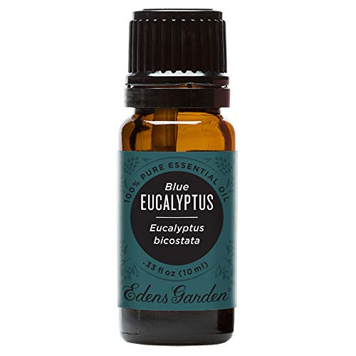 Edens Garden Eucalyptus- Blue Essential Oil 100 percent Pure Therapeutic Grade 10 ml Edens Garden Eucalyptus- Blue Essential Oil 100 percent Pure Therapeutic Grade 10 ml