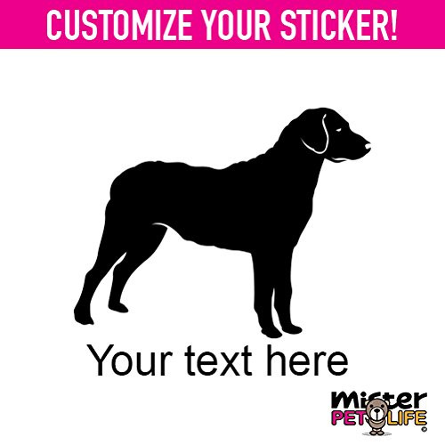 Mister Petlife Personalized Chesapeake Bay Retriever Sticker Vinyl Chose Color Custom Made Chessie CBR Black