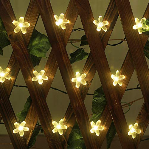 Xingpold Solar Flower String LightsSolar Christmas Lights Outdoor 36ft 60 led Solar Cherry Blossom String Lights Sakura Fairy Lights Solar Garden Lights for Patio Christmas Lawn Decor  Warm White