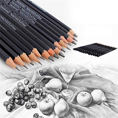 14 Pcs Set Pencil Set Drawing Sketching Doodling Pencil Set Complete Pencil Kit Shading Blending Art Craft for Students Artists Home School Office Drawing Sketching Blending Accessories Tools Supply