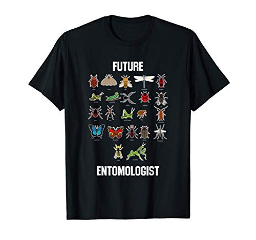 Future Entomologist Insect Chart Bug Types T-Shirt