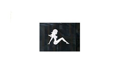 6 ft. The Lady Bicycle Safety Flag with Rear Axle Mounting Bracket