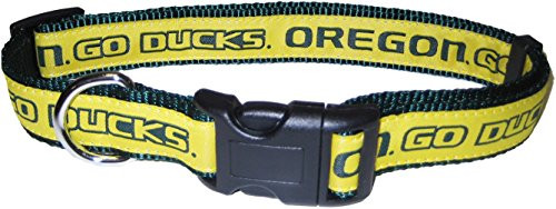 Pets First Collegiate Pet Accessories Dog Collar Oregon Ducks Medium Pets First Collegiate Pet Accessories Dog Collar Oregon Ducks Medium