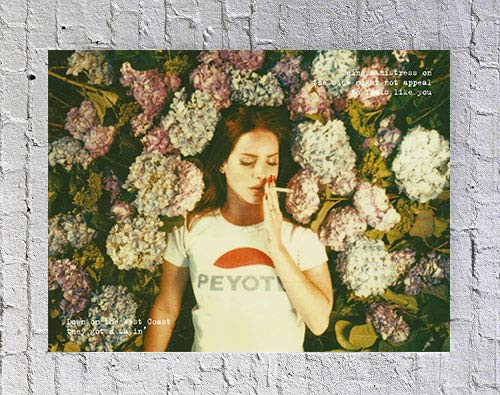 Avando Lana Del Rey Poster Size 20x16 Unframed Poster Print  B