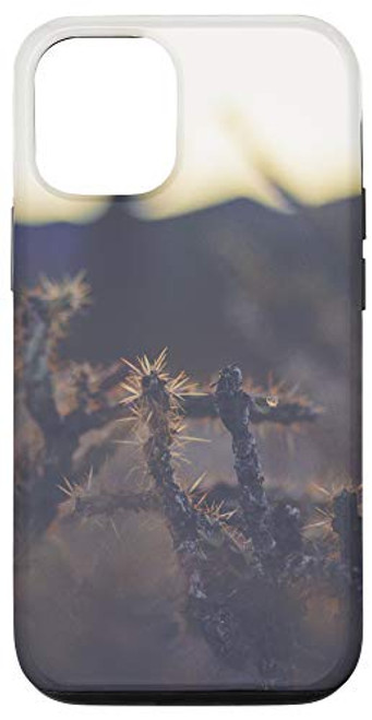 iPhone 12 12 Pro Cactus Desert Cacti Succulent Garden Cool Plant Lover Gifts Case iPhone 12 12 Pro Cactus Desert Cacti Succulent Garden Cool Plant Lover Gifts Case