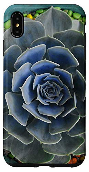 iPhone XS Max Cactus Flower Pot Cacti Succulent Garden Plant Lover Gifts Case