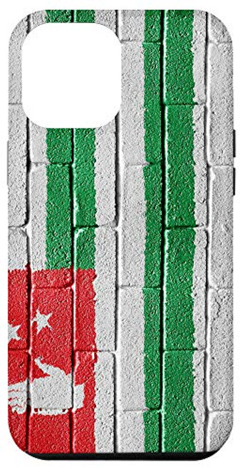 iPhone 12 Pro Max Abkhazia Flag Banner on a brick wall Case iPhone 12 Pro Max Abkhazia Flag Banner on a brick wall Case