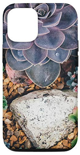 iPhone 12 12 Pro Cactus Flower Cacti Succulent Garden Cool Plant Lover Gifts Case