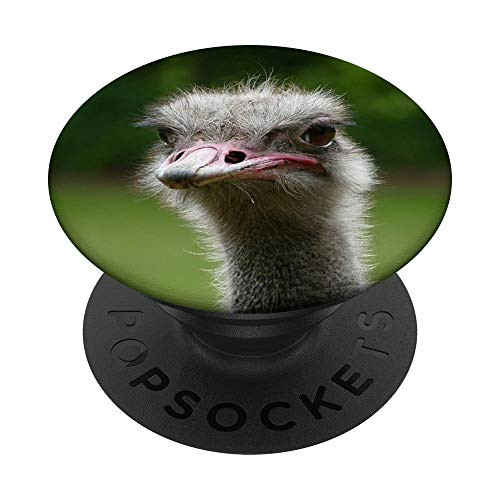 Ostrich PopSockets PopGrip Swappable Grip for Phones  and  Tablets